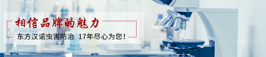 相信品牌的（de）力量