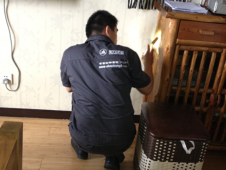 東方漢（hàn）諾北京滅螞蟻公司 