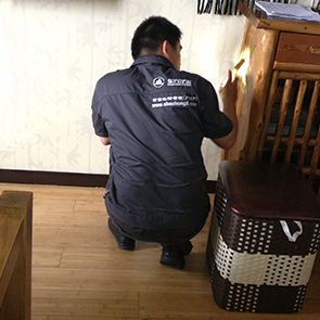 殺蟲公（gōng）司 麻花影院