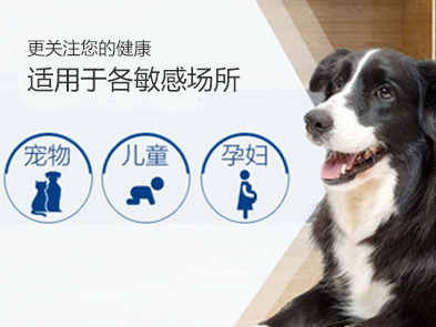 北京滅跳蚤公司，殺（shā）跳蚤（zǎo）公司哪家好
